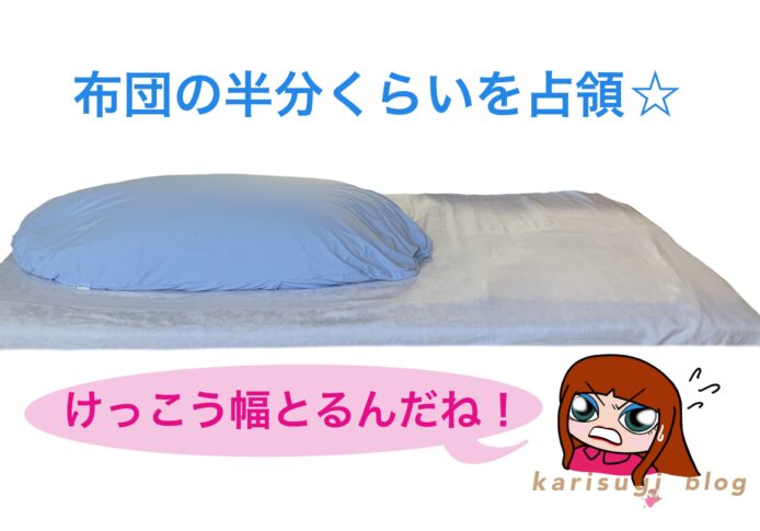 『雲に乗る夢枕』、レビュー