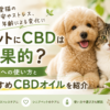ペットにCBDは効果的？犬・猫への使い方とおすすめCBDオイルを紹介