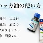 ハッカ油の使い方・効果・注意点・疑問を完全ガイド｜暮らしに役立つ活用法まとめ