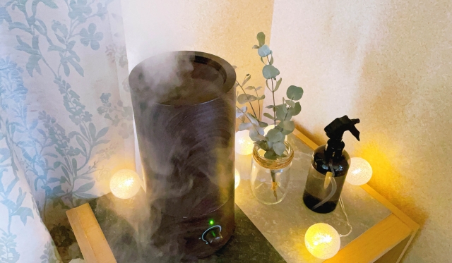 【季節別】ユーカリ精油の使い分け|春夏秋冬を快適に過ごすアロマ術