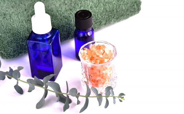 【季節別】ユーカリ精油の使い分け|春夏秋冬を快適に過ごすアロマ術
