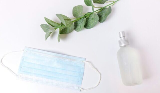 【季節別】ユーカリ精油の使い分け|春夏秋冬を快適に過ごすアロマ術