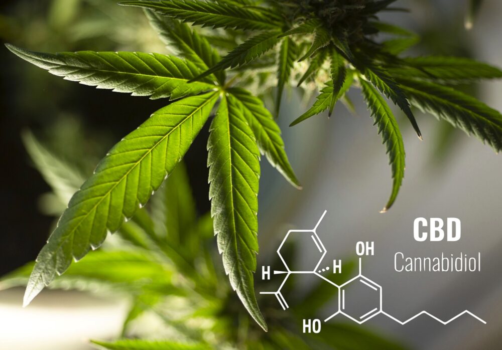 CBD(カンナビジオール)