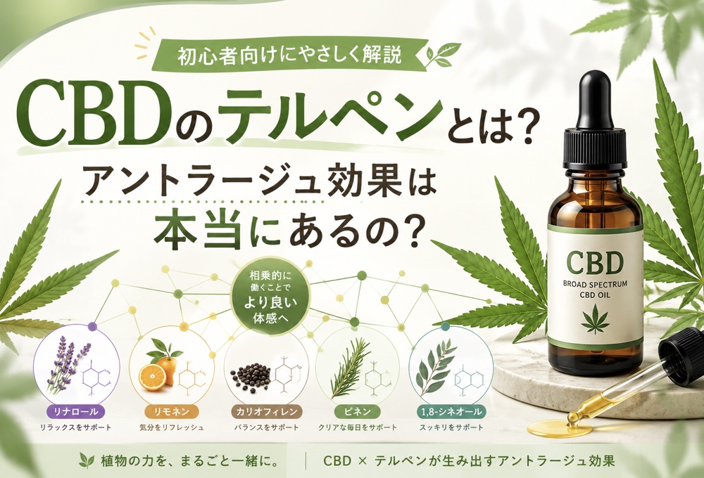 CBDのテルペンとは?アントラージュ効果は本当にあるの?