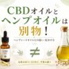 CBDオイルとヘンプオイルは別物！ヘンプシードオイルとの違い・見分け方