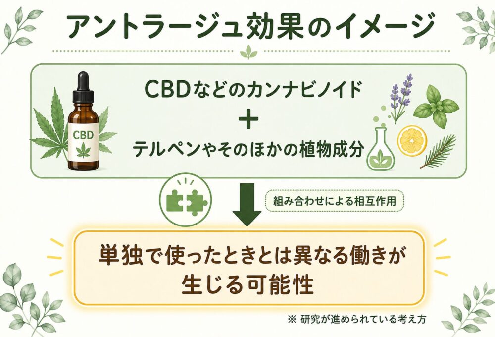 アントラージュ効果のイメージ