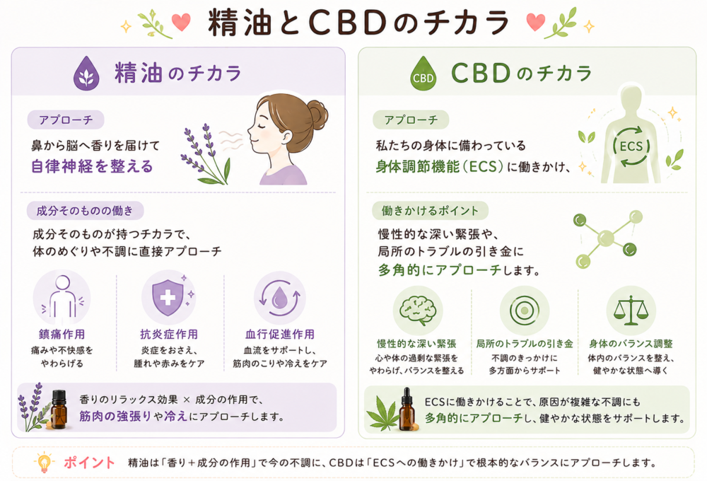 精油とCBDオイルは混ぜてOK？飲用・肌用の違いと危険性を解説
